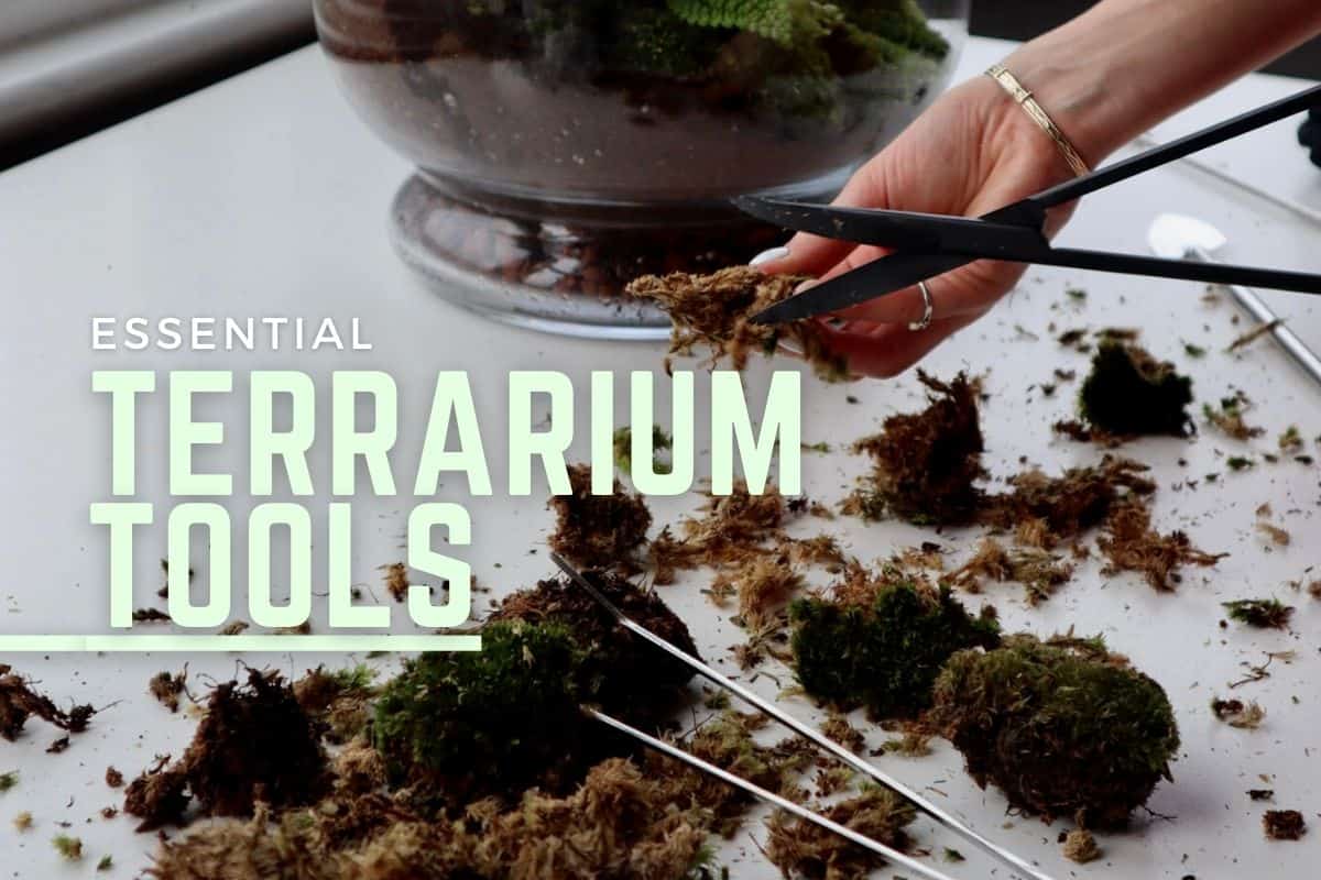 Terrarium Tools