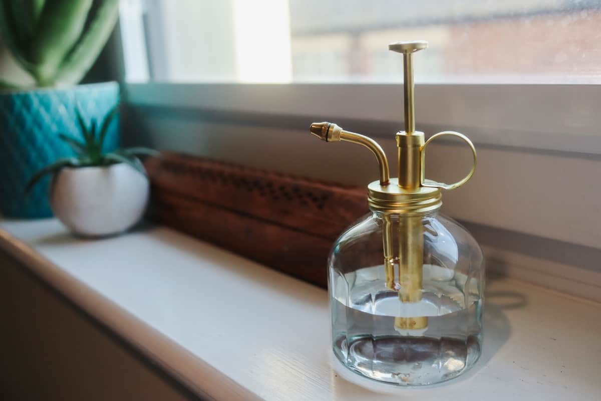 6 MustHave Terrarium Tools for Any Budding Builder (+ Bonus Items)