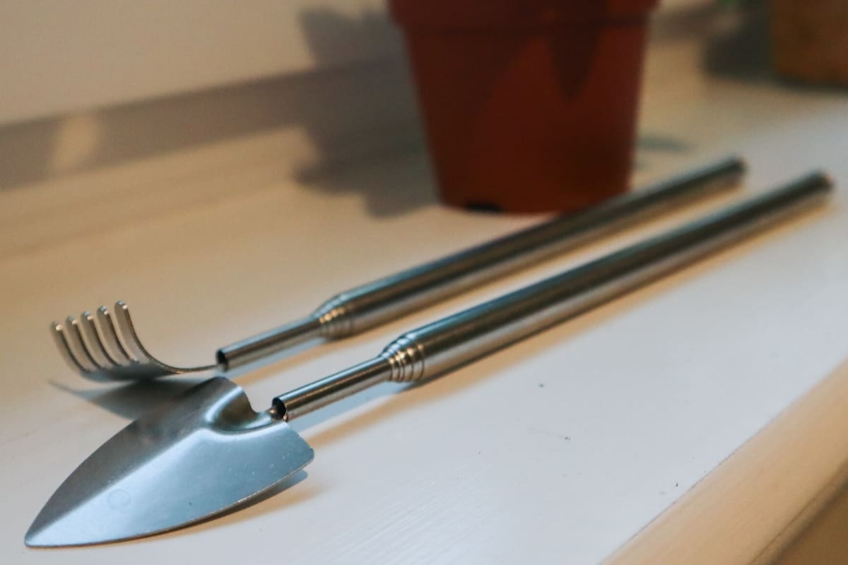 6 MustHave Terrarium Tools for Any Budding Builder (+ Bonus Items)