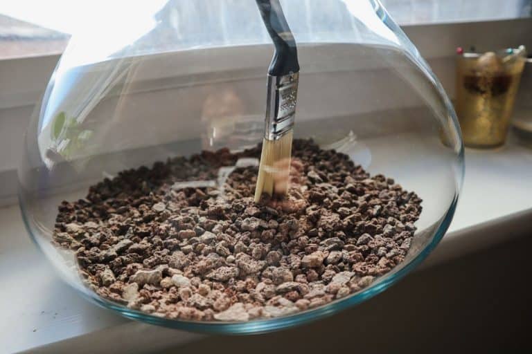 Terrarium Layers A StepByStep Guide to Building Success