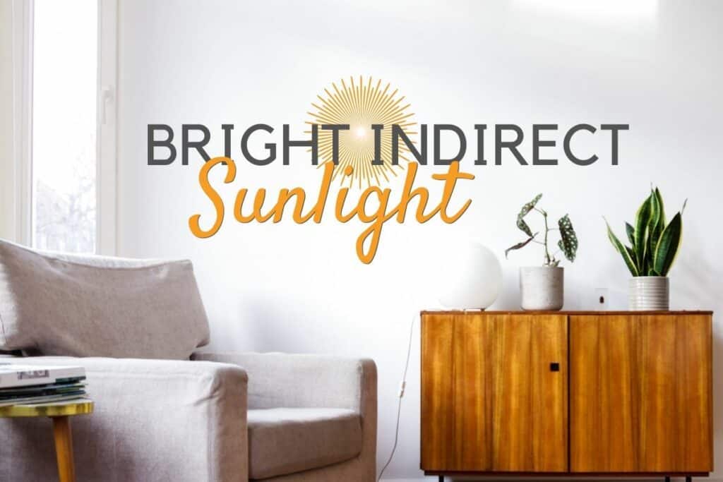 Does Indirect Sunlight Heat a Room?