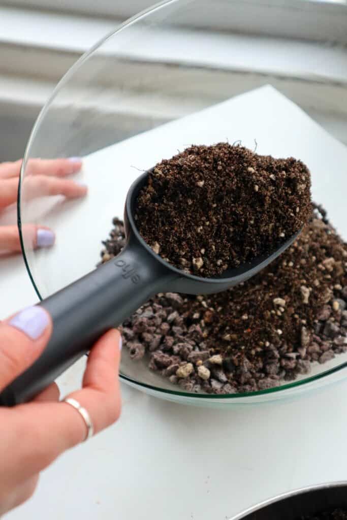 Terrarium False Bottom 101 How to Make a Drainage Layer