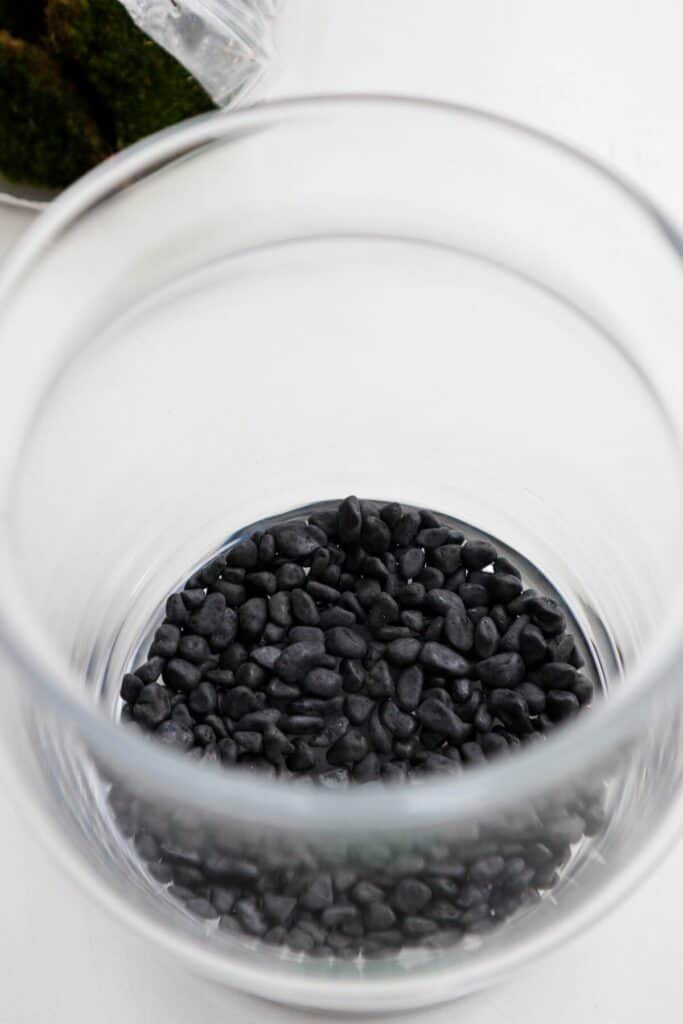 Terrarium False Bottom 101 How to Make a Drainage Layer