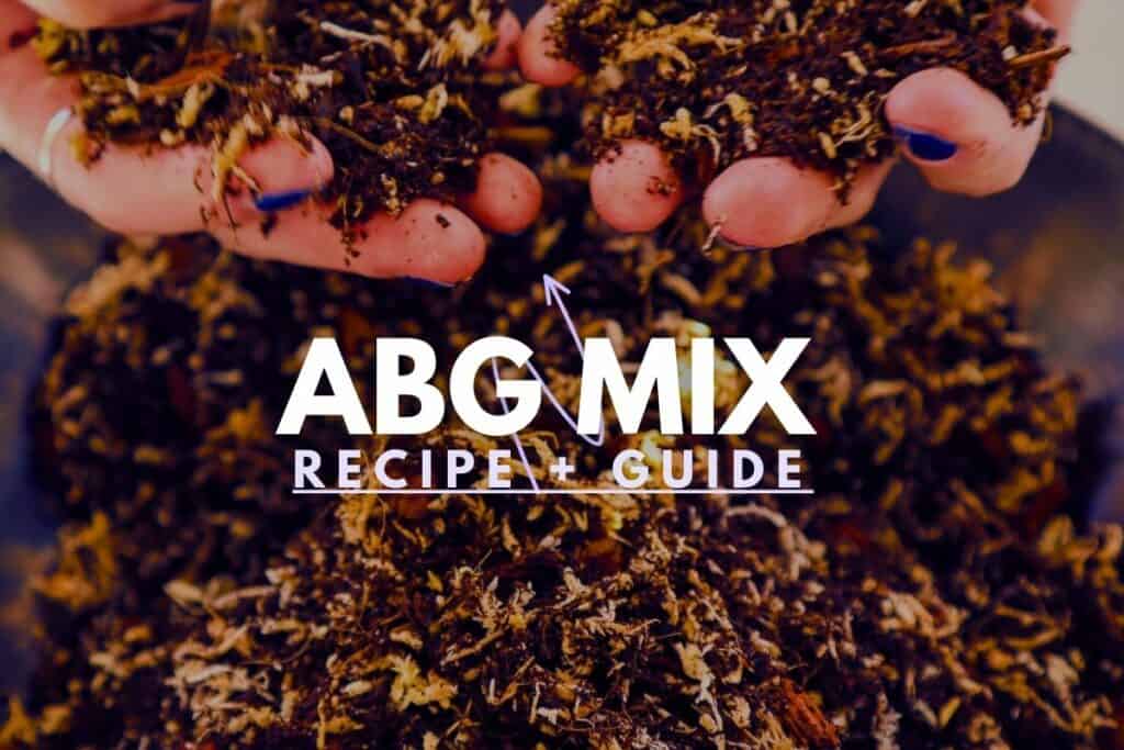 ABG Mix The Classic Terrarium Substrate (+ Recipe)