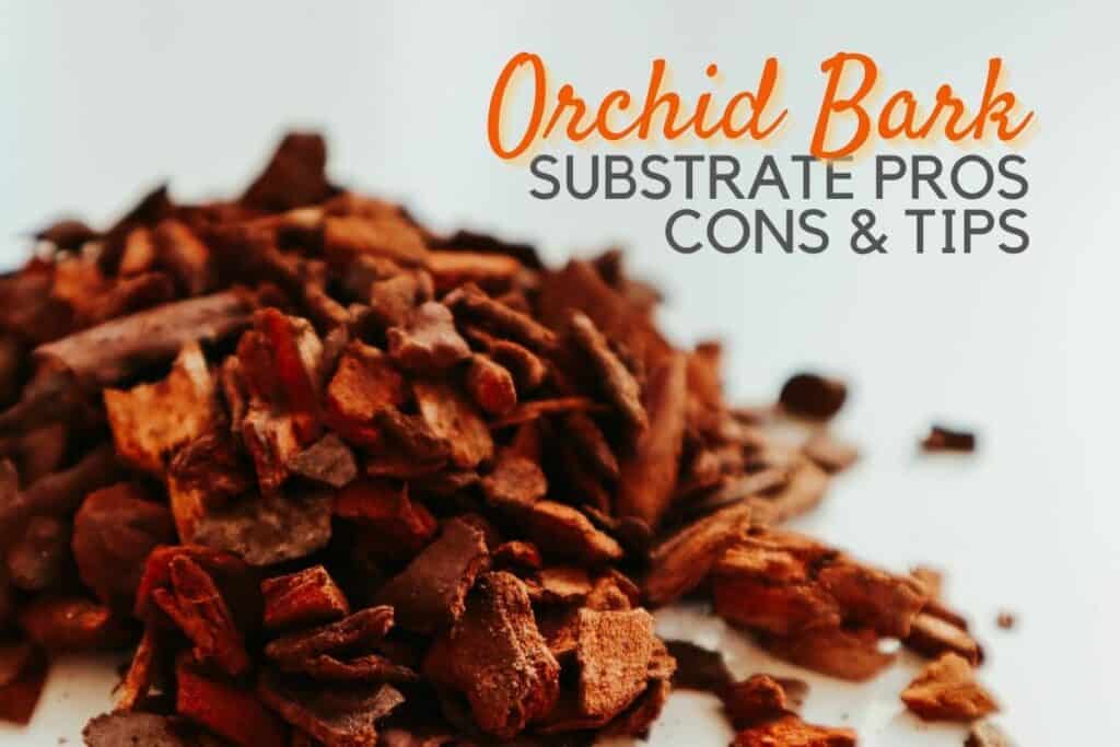 What Is Orchid Bark (Fir Bark)? Substrate & Mixes Explained