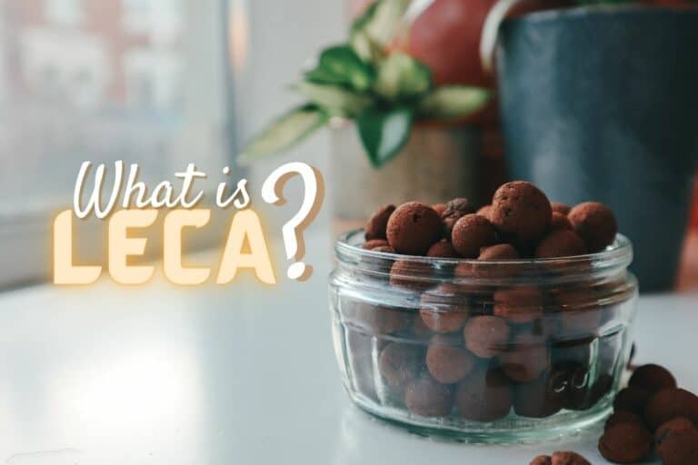 LECA Balls for Plants The True AllinOne Substrate?