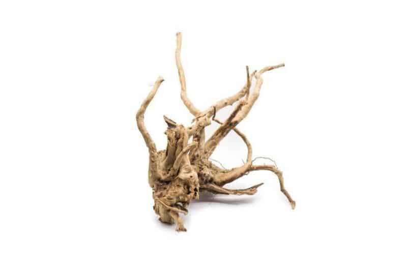 The Hardscape Guide to Spider Wood Driftwood (Azalea Root)