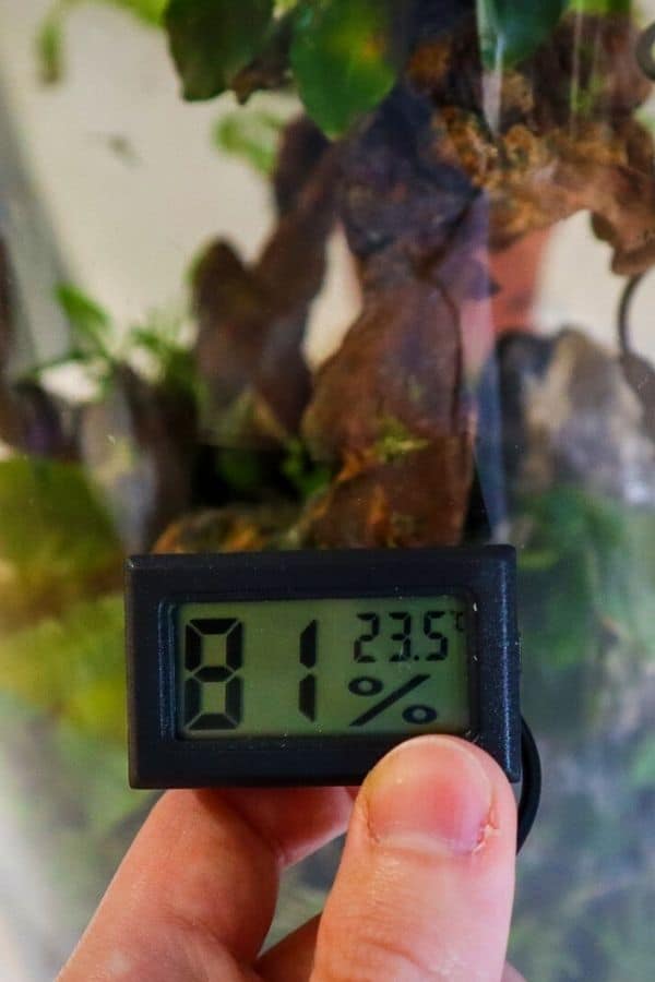 Terrarium humidity meter