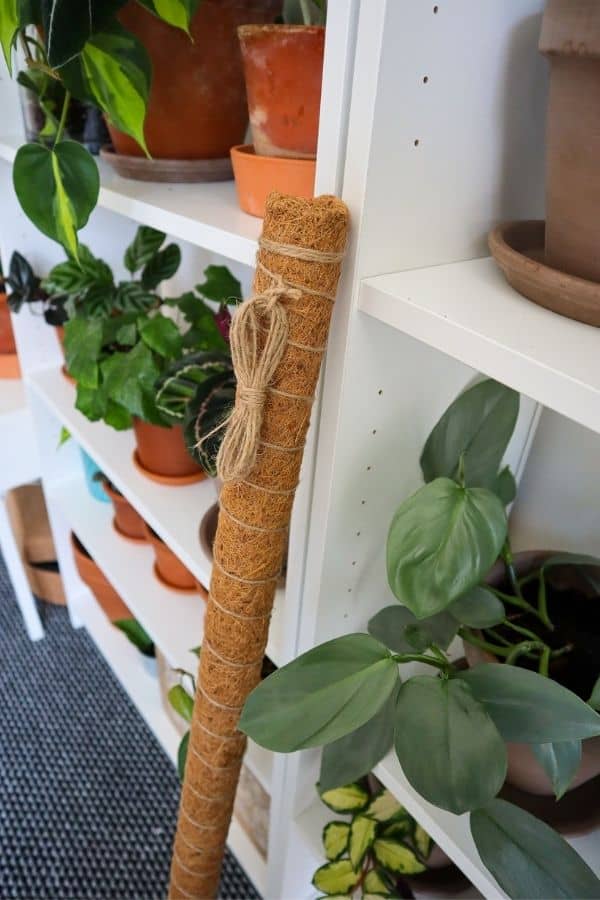 Coco coir moss pole