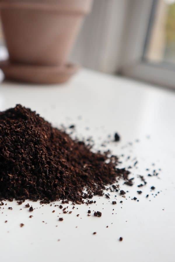 worm castings/earthworm castings