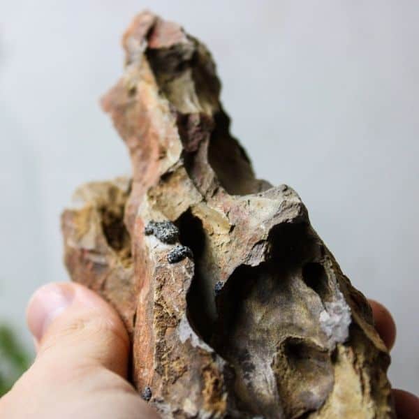 image of dragon stone