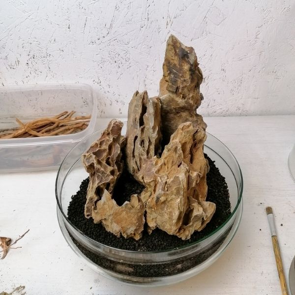Dragon stone terrarium (Ohko stone)
