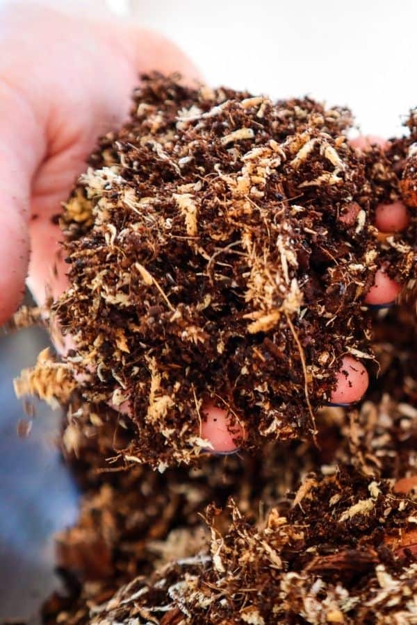 What is Peat Moss? What is it used for?