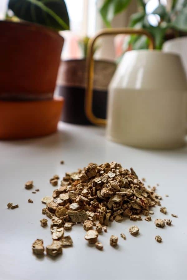 What Is Vermiculite?