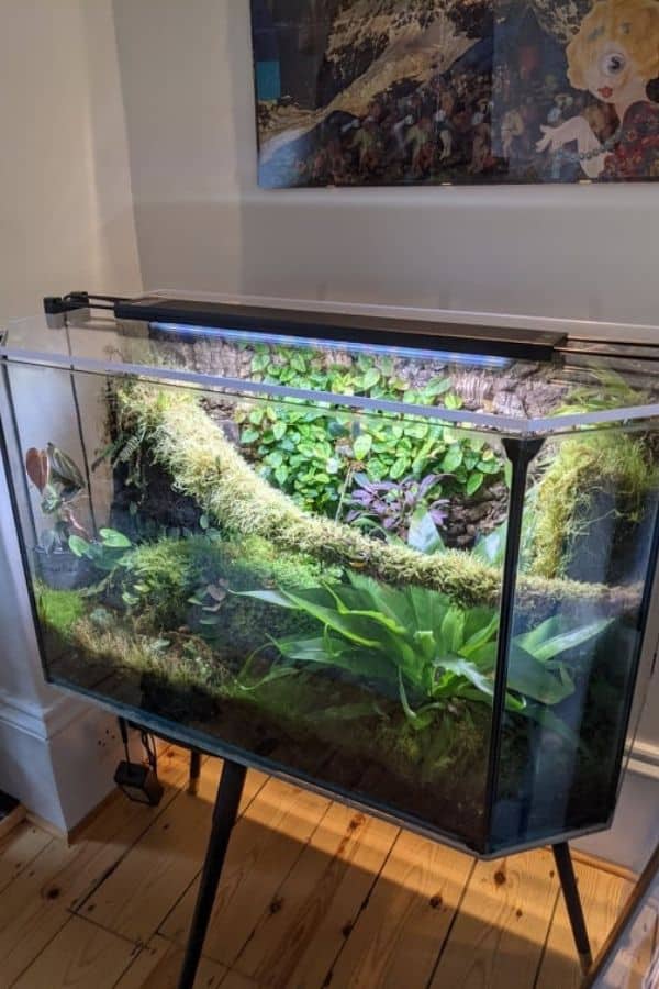 3D-printed fish tanks for the Minimalist in you - Home & Decor