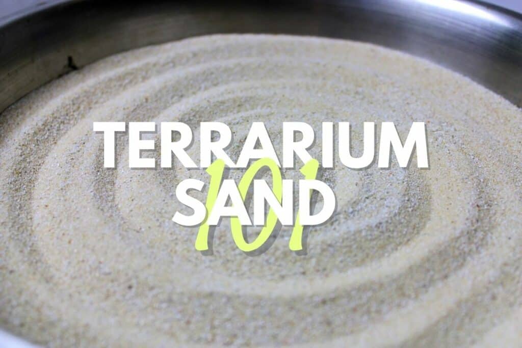 Using Play Sand in your Aquarium? 