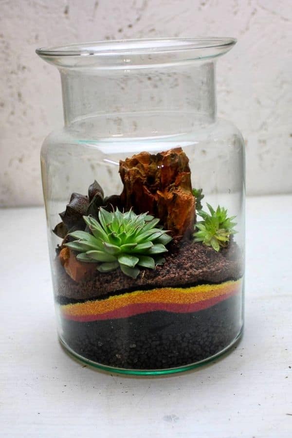 Sand art terrarium