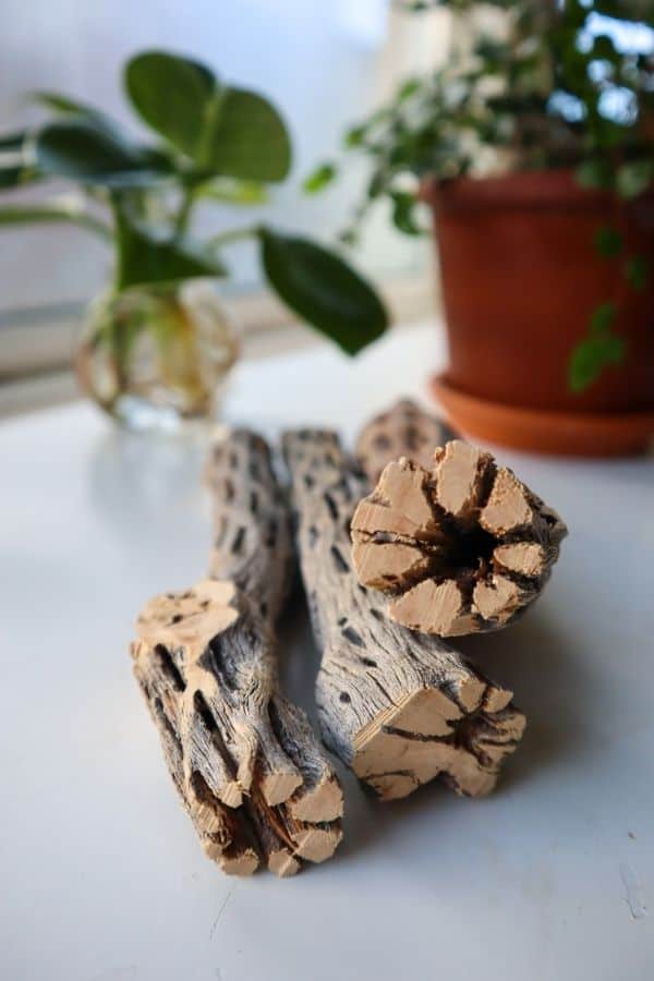 Cholla Wood branches.