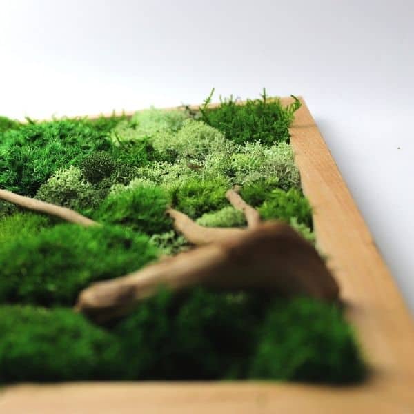 DIY Moss Art Wall - trending home décor on  