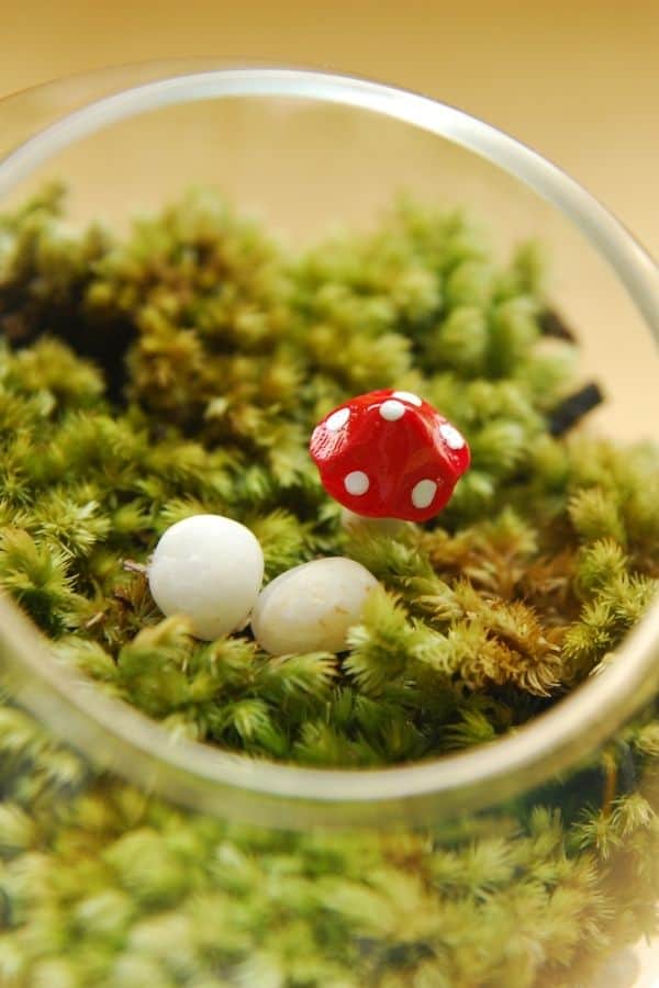image of mushroom figurines