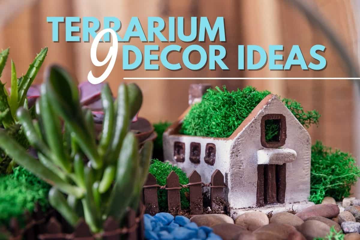 How to Make Fake Water for Crafts (+ Resin Terrarium Guide)