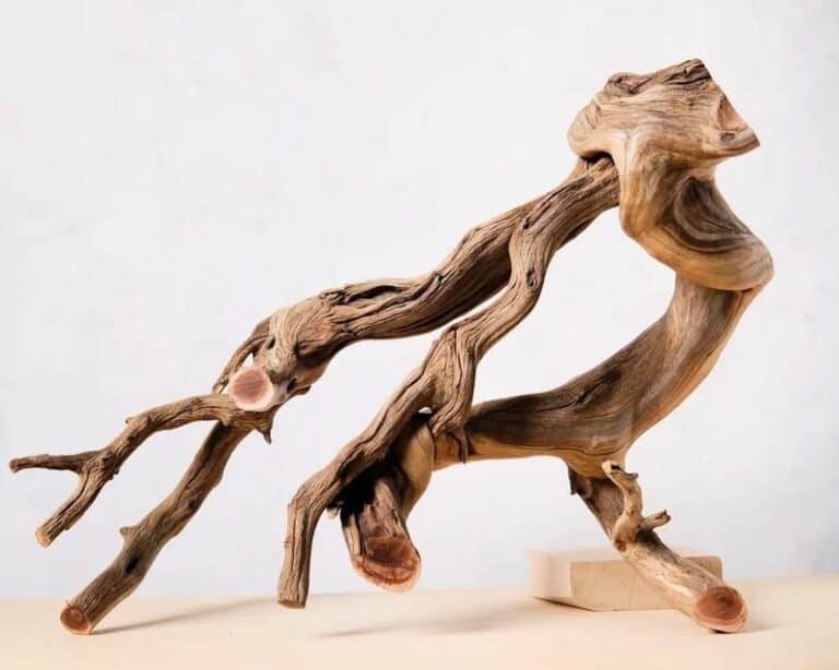 Manzanita Wood The Versatile Hardscape Guide (Types & Uses)