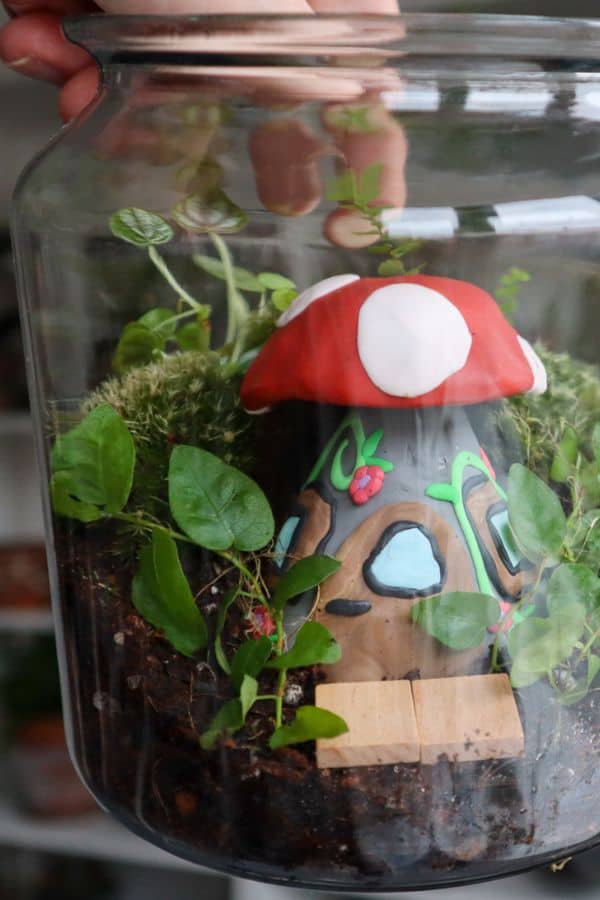 Terrarium Imaginarium on Instagram: Little garden path terrarium