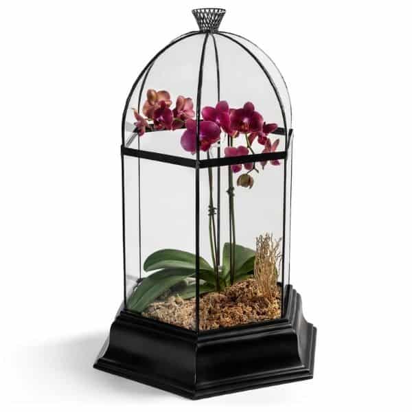 Terrarium Wedding Centerpieces Flawless Yet Cheap Ideas 6735