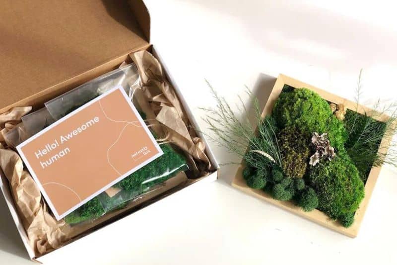 DIY Terrarium Kit – NaturelyBox