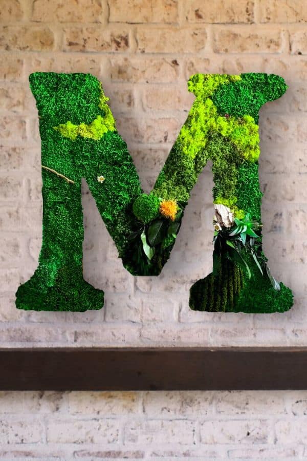 Custom Moss Wall Art