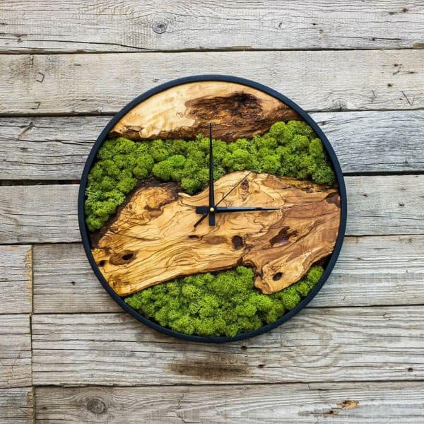 Moss Art by Numbers, Moss Art Kit