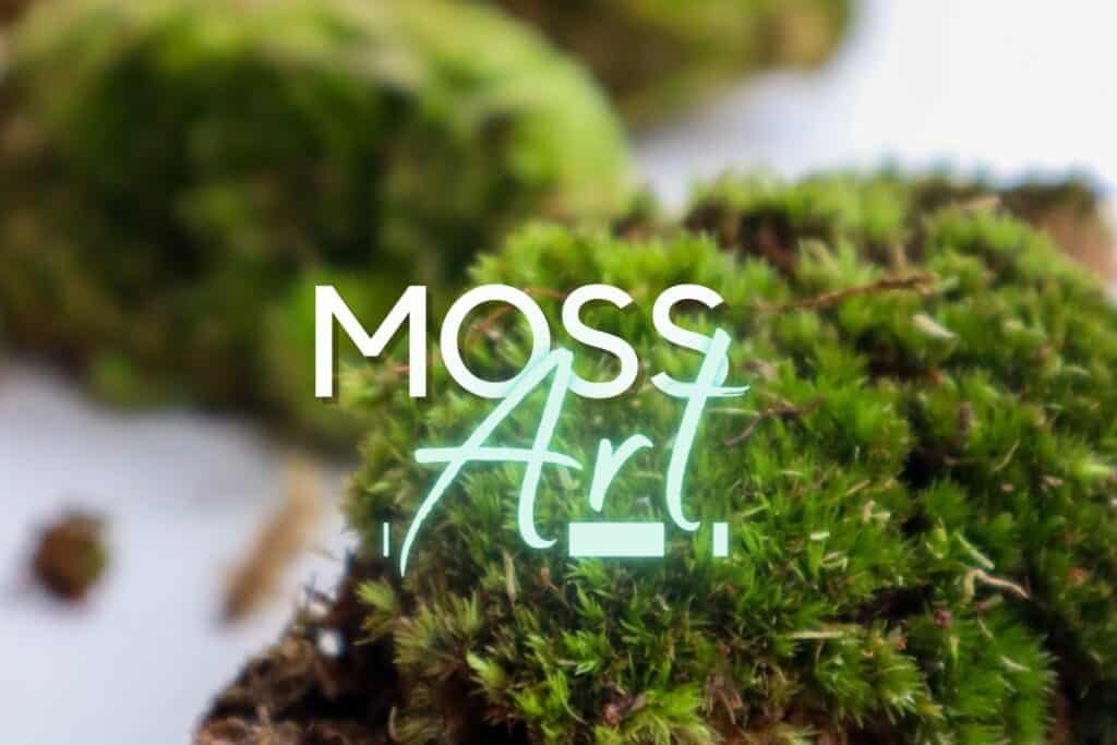 Moss Art Ideas - 5+ Walls, Mirrors & More (Live & Preserved)