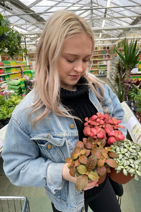 Girl with Fittonia plants