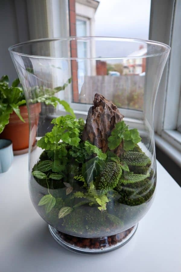 terrarium price crypto