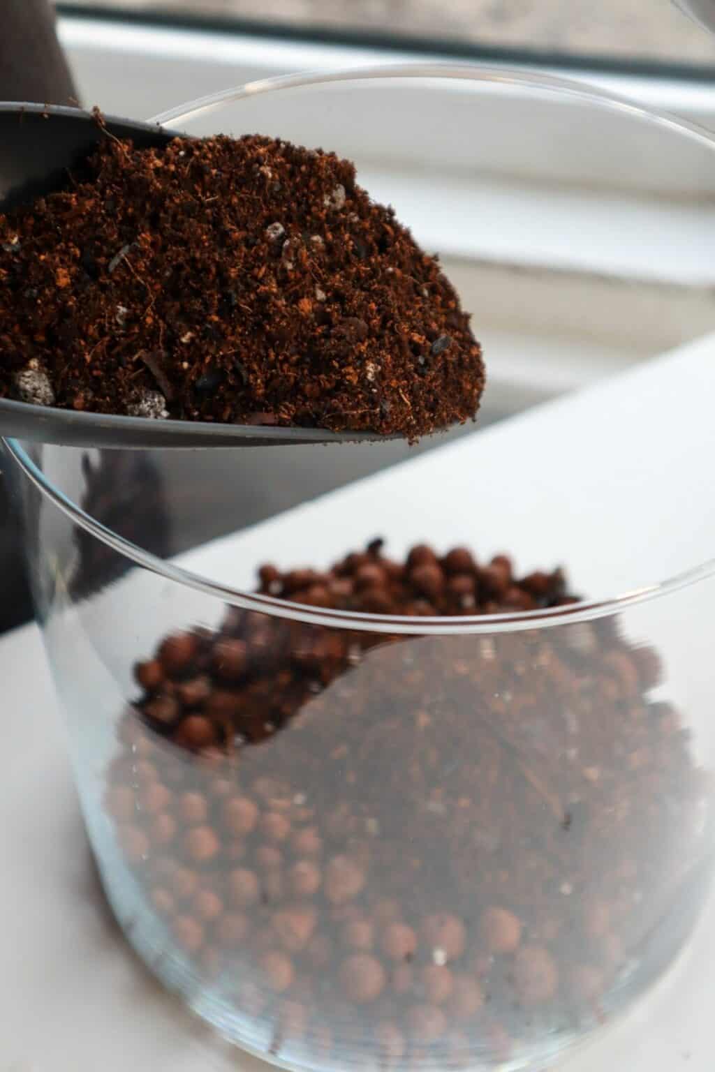 Fish Bowl Terrarium The Complete DIY Guide (& Where to Buy)