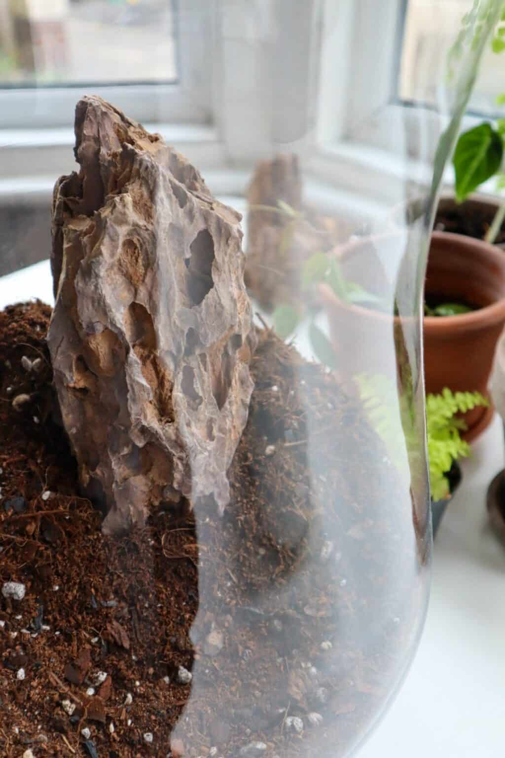 Fish Bowl Terrarium The Complete DIY Guide (& Where to Buy)