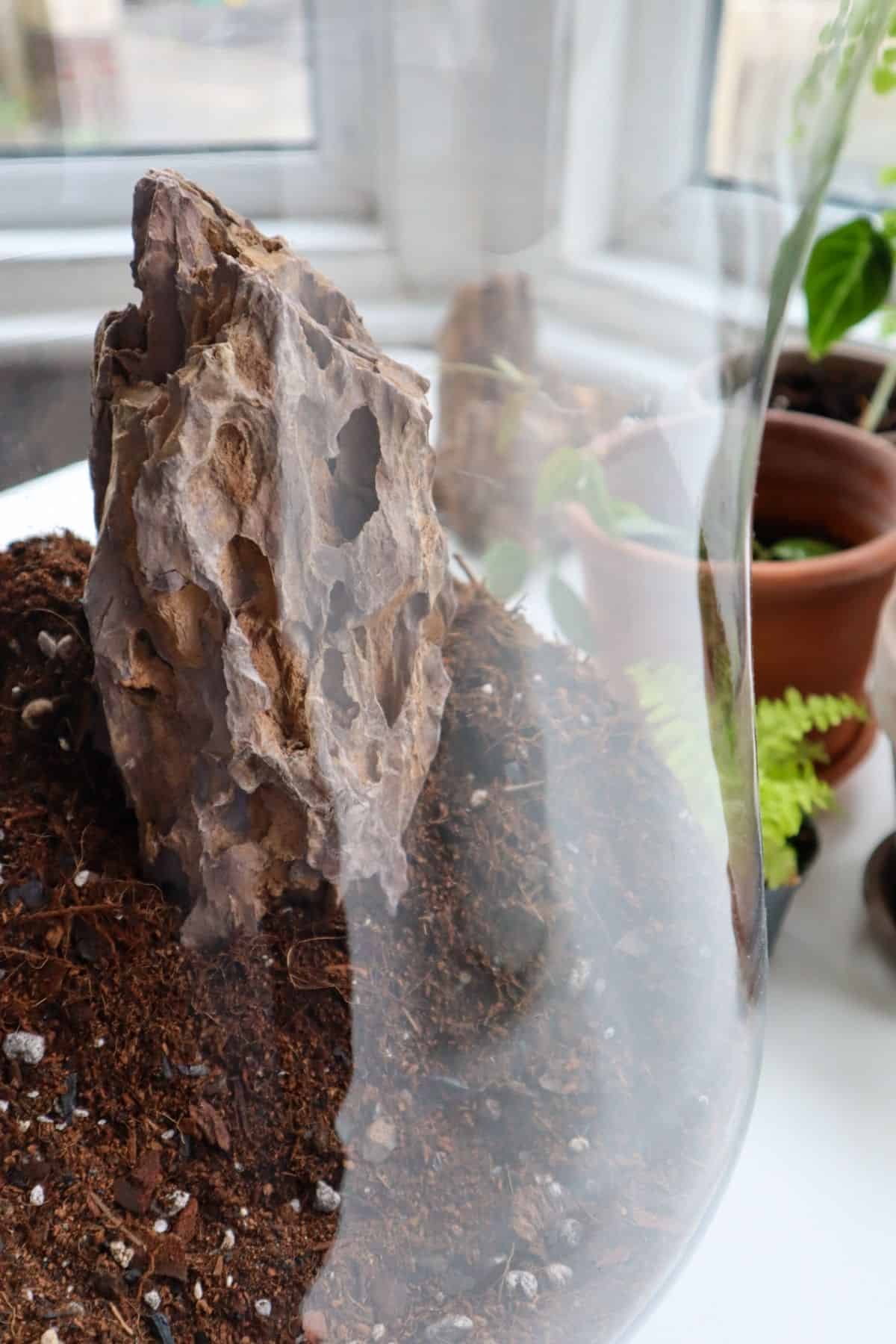 Dragon stone in a terrarium