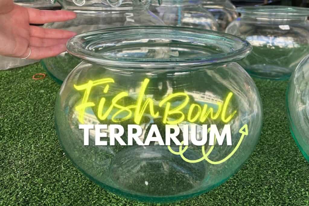 https://terrariumtribe.com/wp-content/uploads/2022/07/Fish-Bowl-Terrarium-FI-1200-800-1024x683.jpg