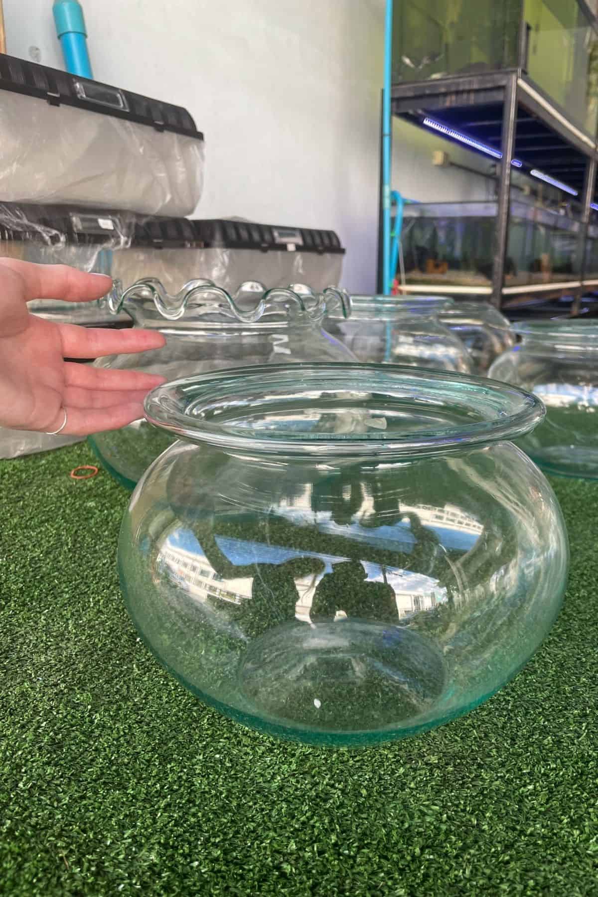 fish bowls in a market