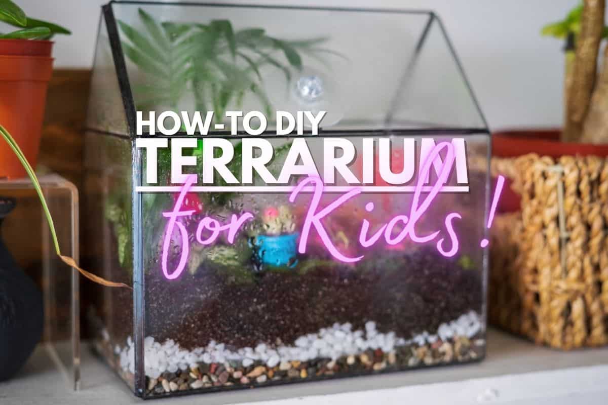 Terrarium for Kids: DIY Guide, Fun Activities & Best Kits