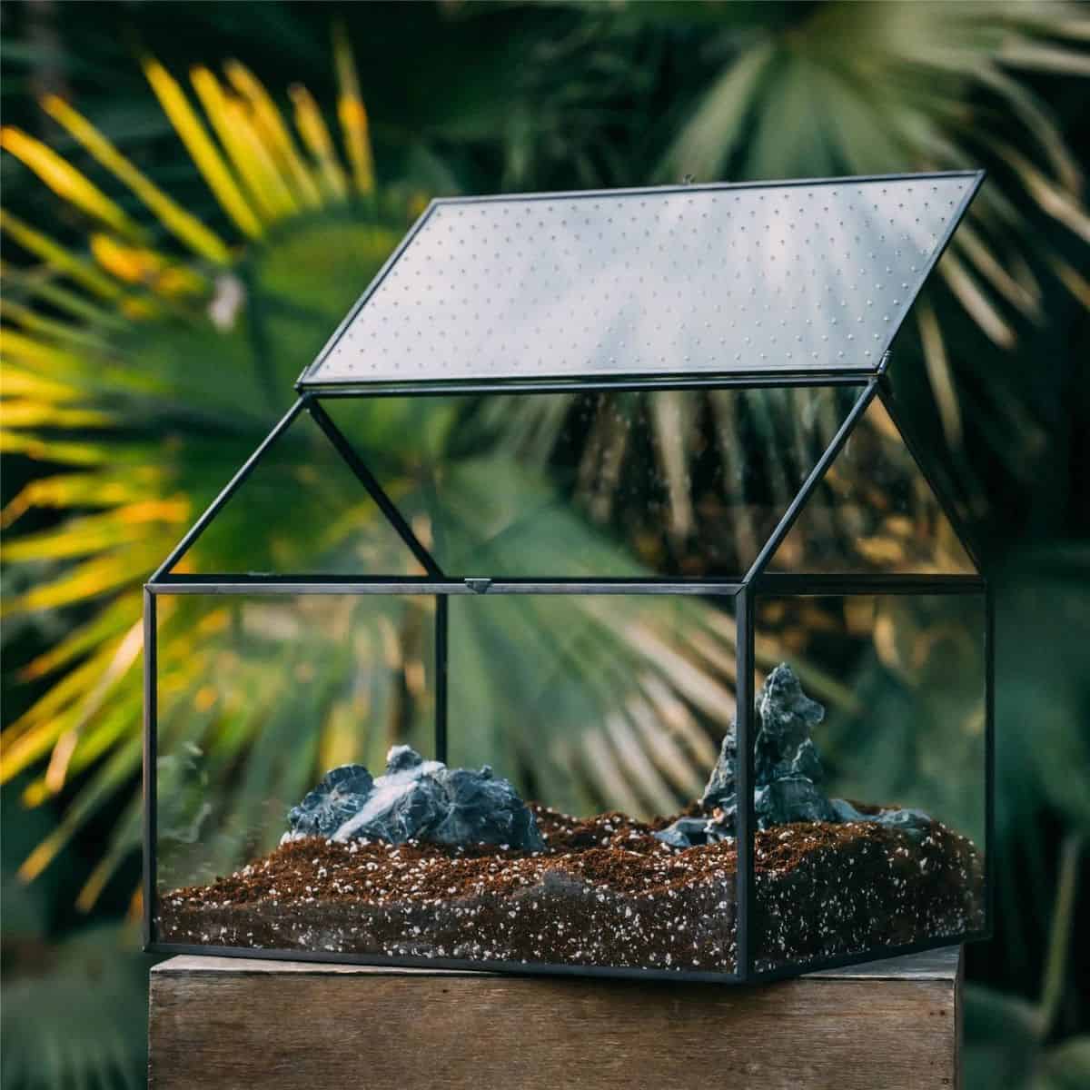 How to Make a Pet Snail Terrarium (Easy