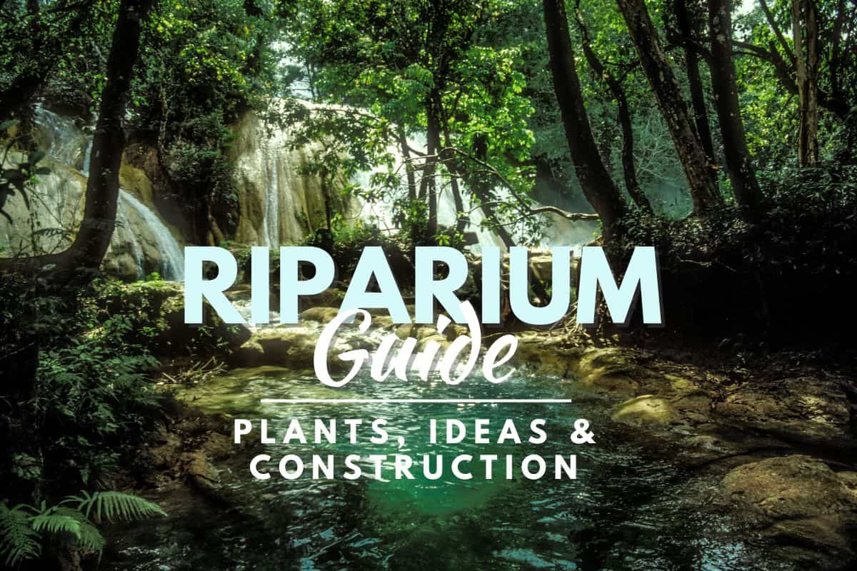 Riparium