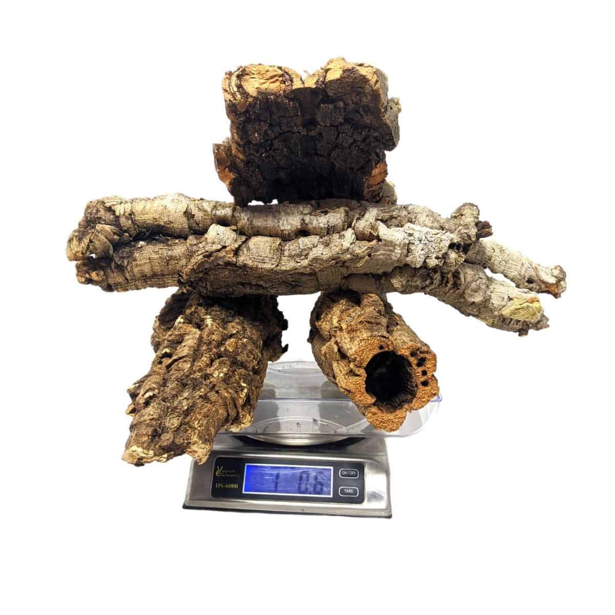 The Complete Cork Bark Guide (Bioactive + Hardscape)