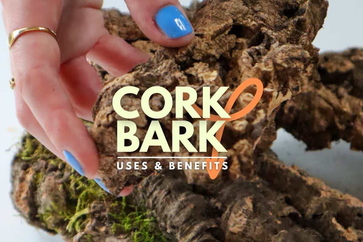 cork bark