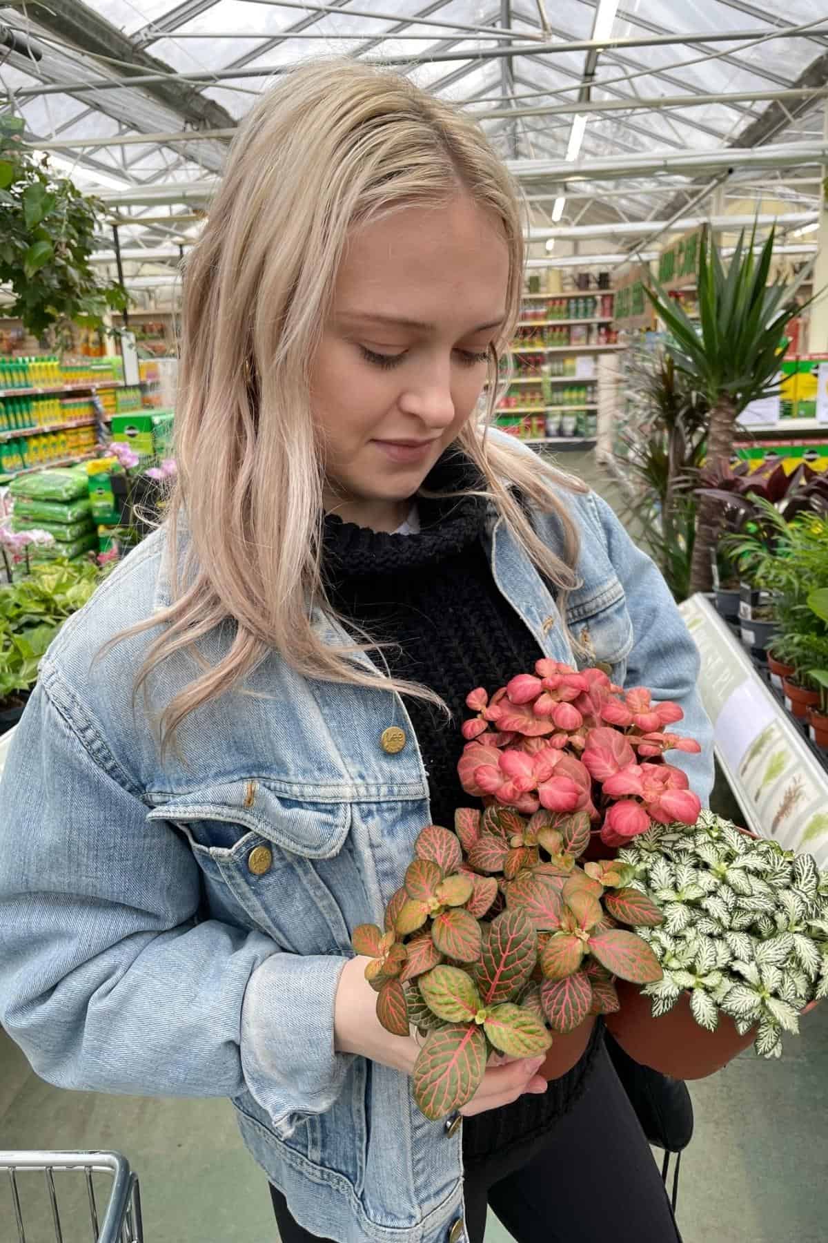 Rae holding different Fittonia varieties