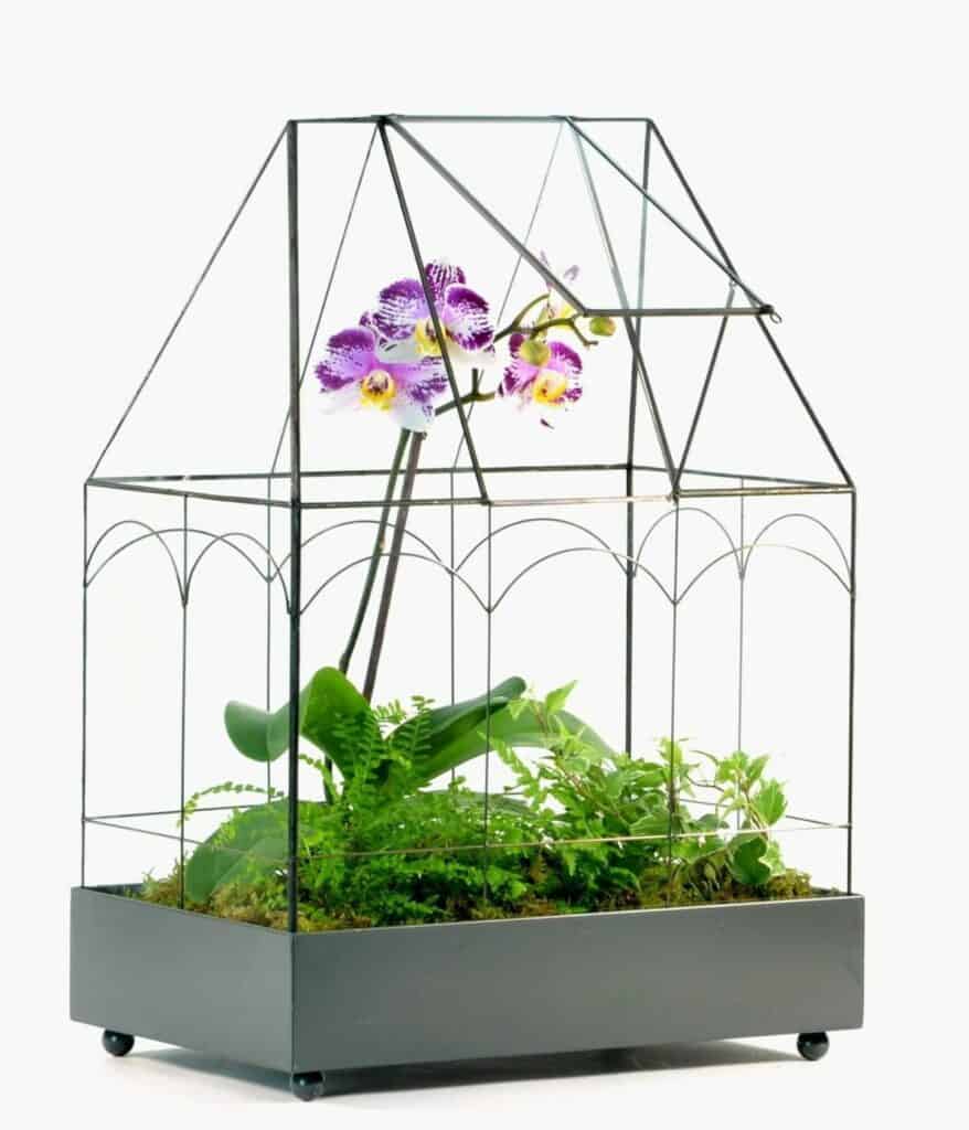 Terrarium Lids How to Find Glass, Cork & Custom Options