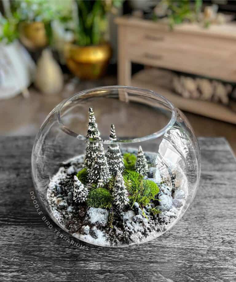 9 Fabulously Festive Christmas Terrarium Ideas Terrarium Tribe