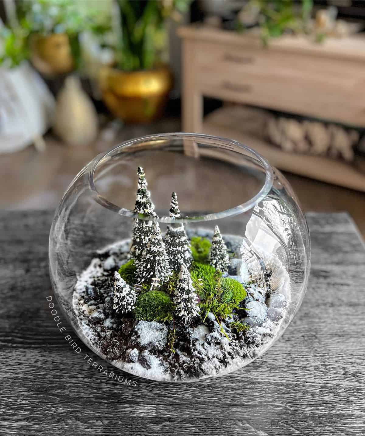 Winter terrarium