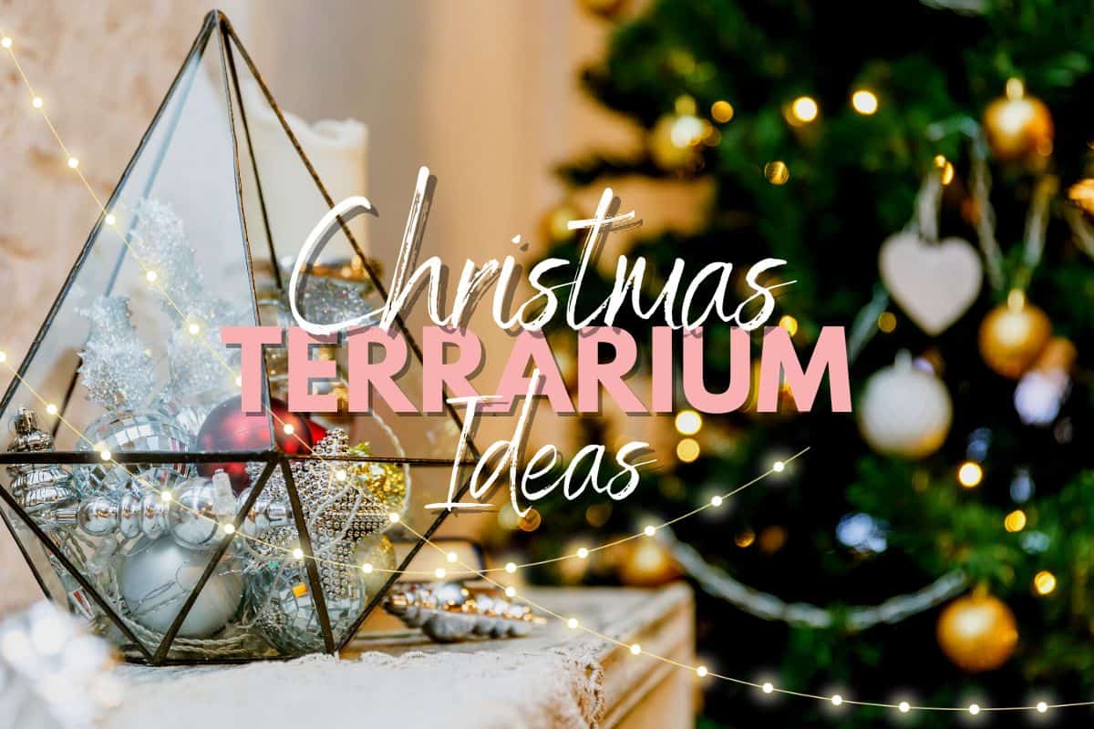 9 Ideas for Your Christmas Tree Topper - Make and Takes