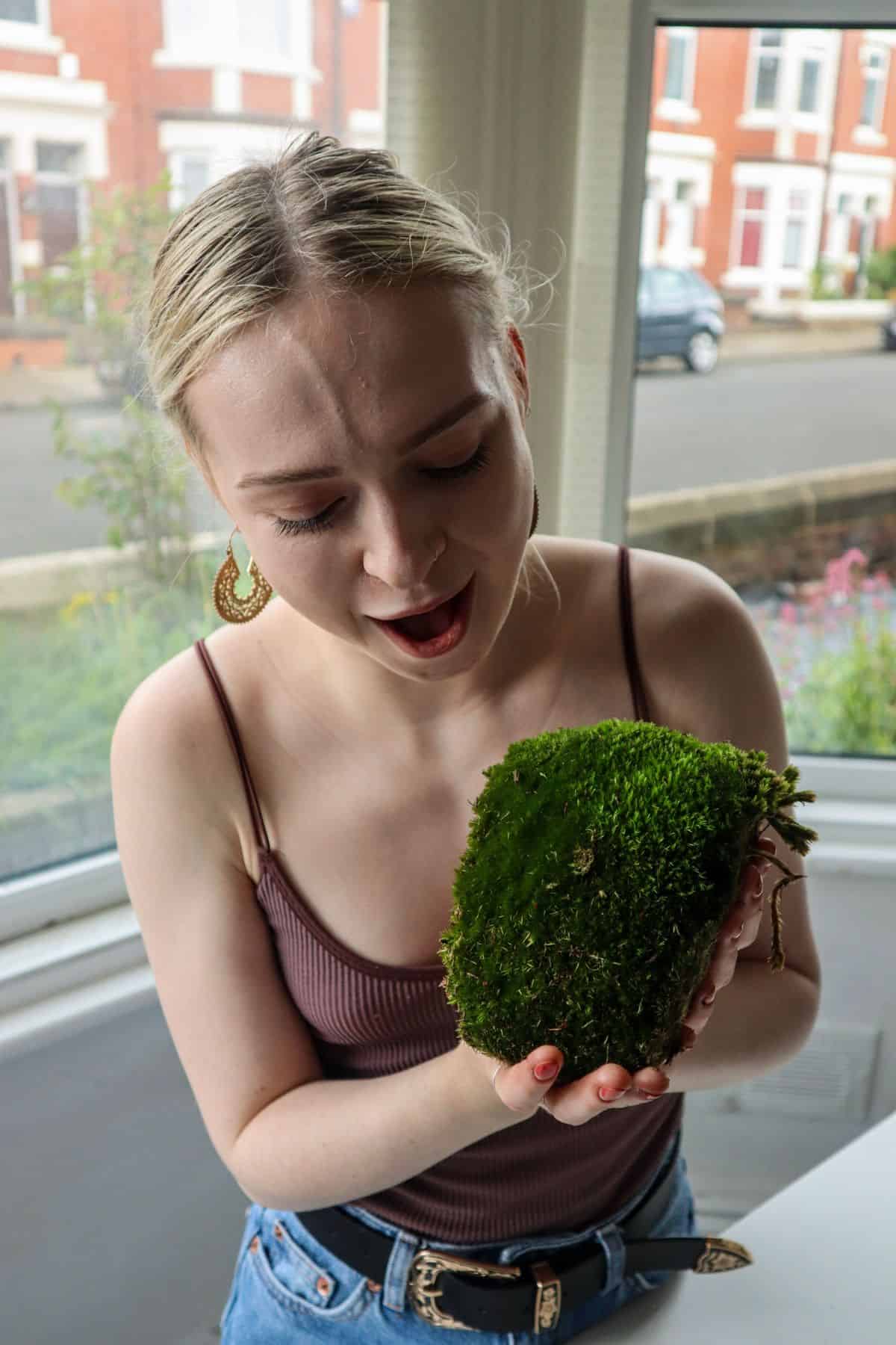 Cushion moss for terrarium build